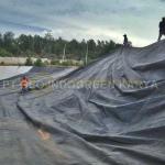 Geomembrane